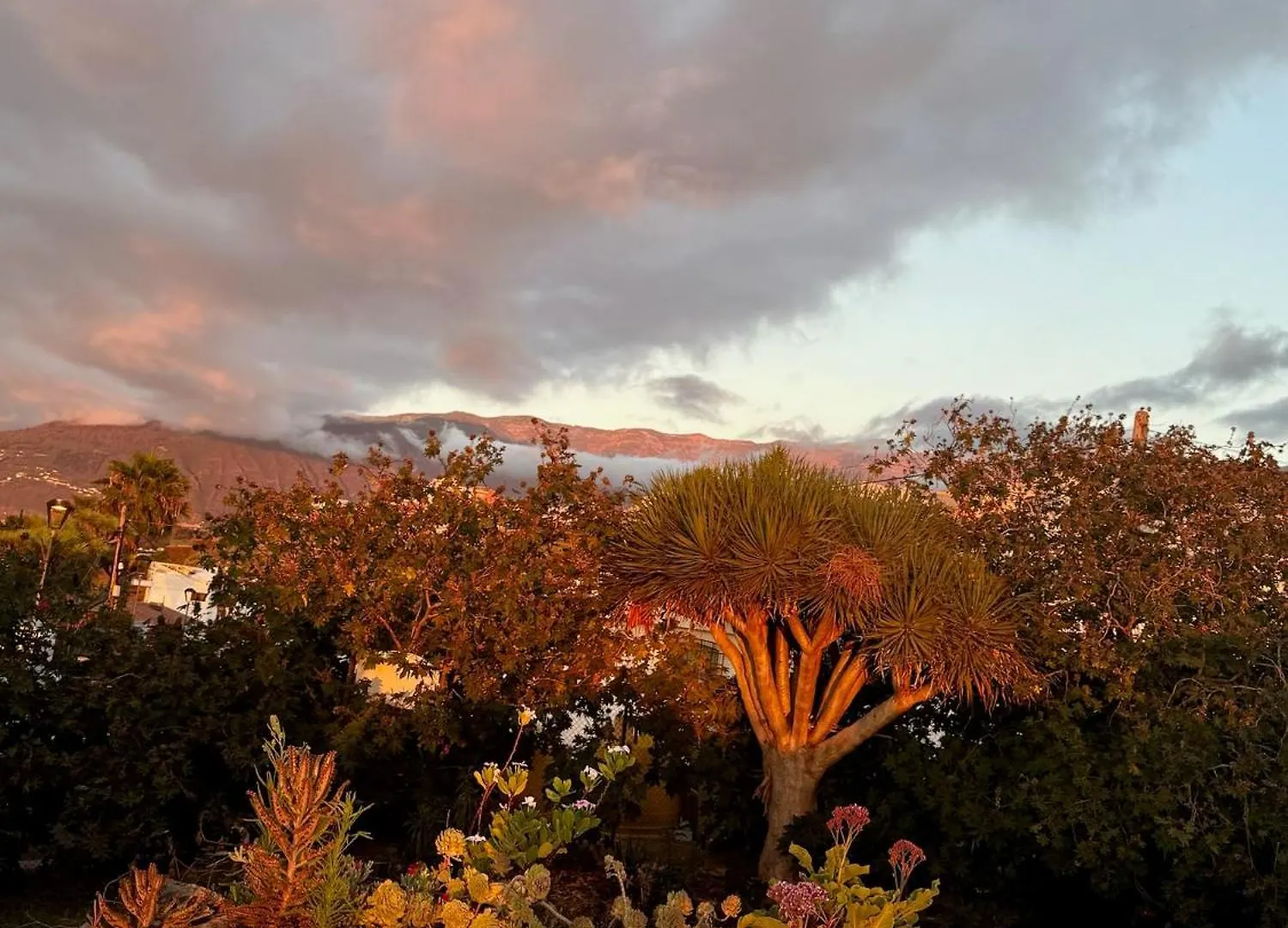 Zen Ocean View House Tenerife Los Realejos 0*,  Spain
