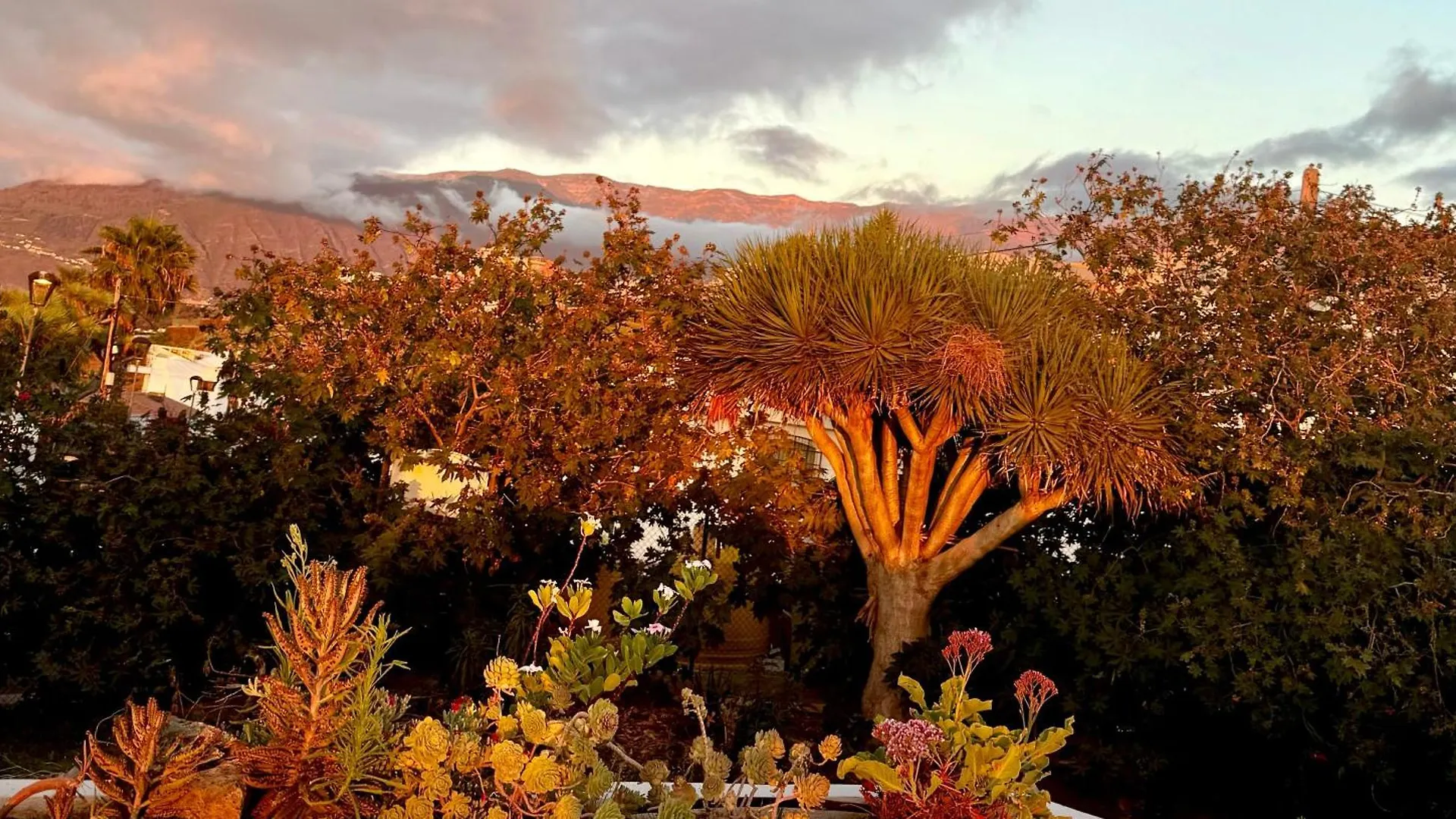 Zen Ocean View House Tenerife Los Realejos Spain