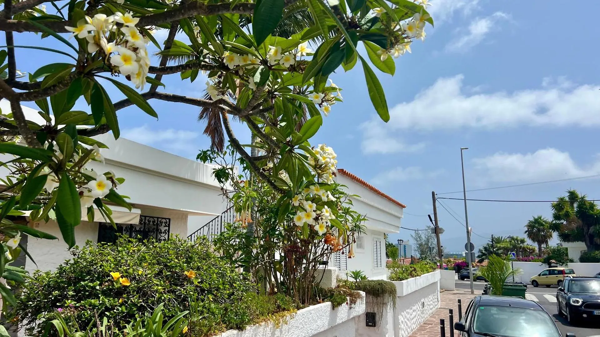 Holiday home Zen Ocean View House Tenerife Los Realejos