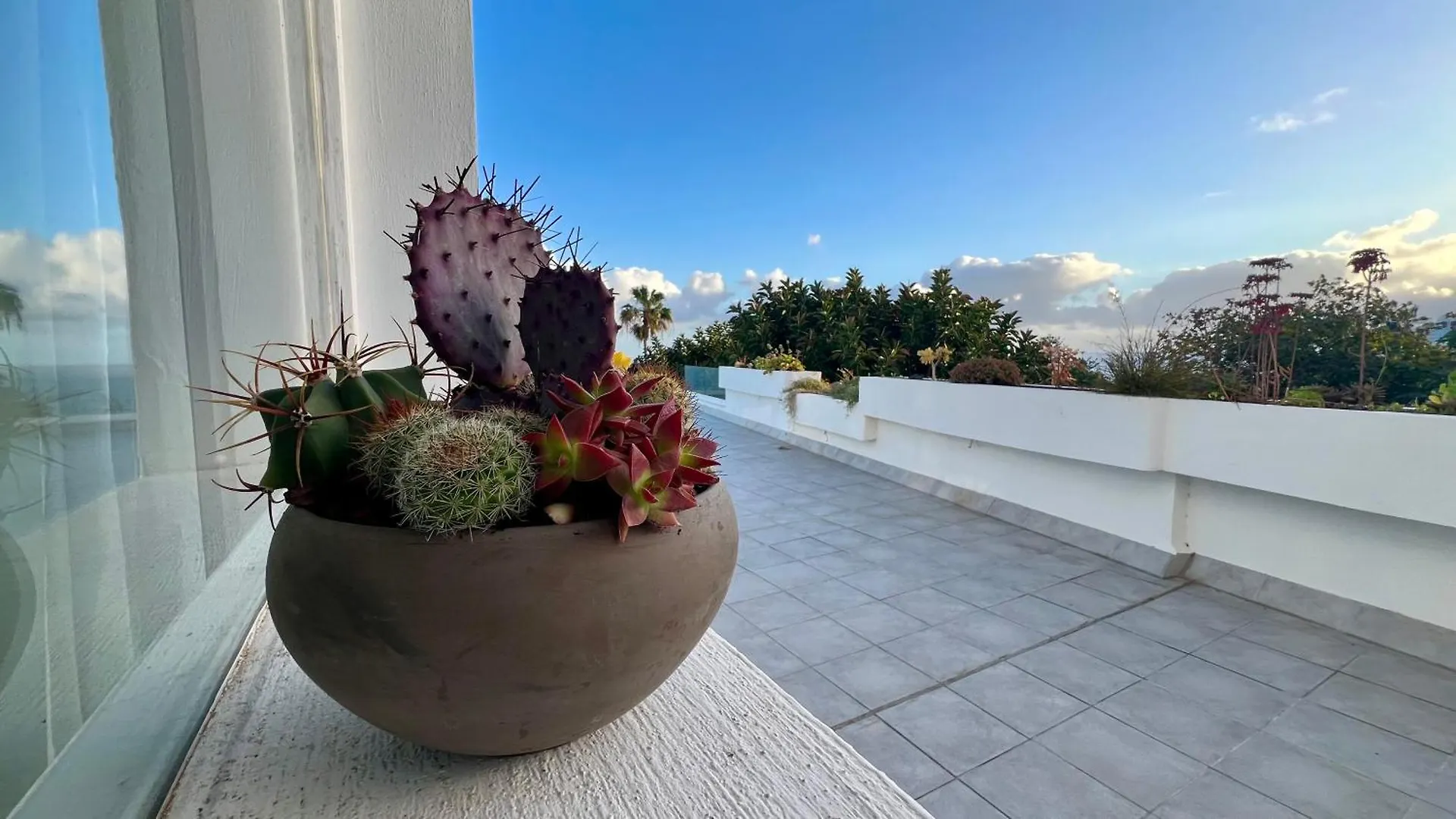 Holiday home Zen Ocean View House Tenerife Los Realejos Spain
