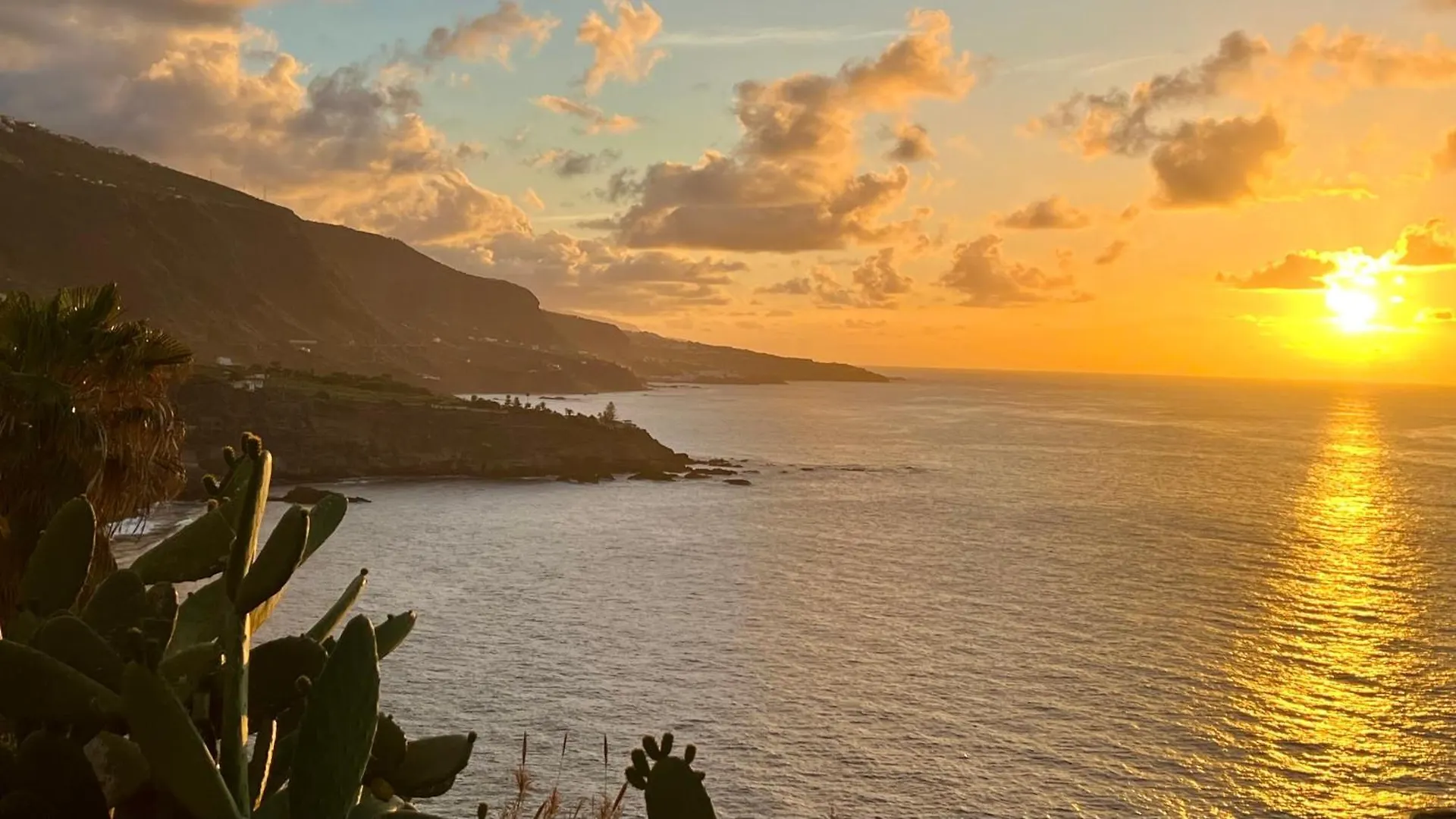 Holiday home Zen Ocean View House Tenerife Los Realejos Spain